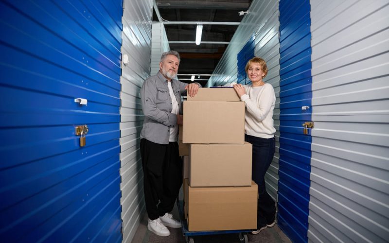 Por qué las plagas son una amenaza y cómo proteger unidades de almacenamiento